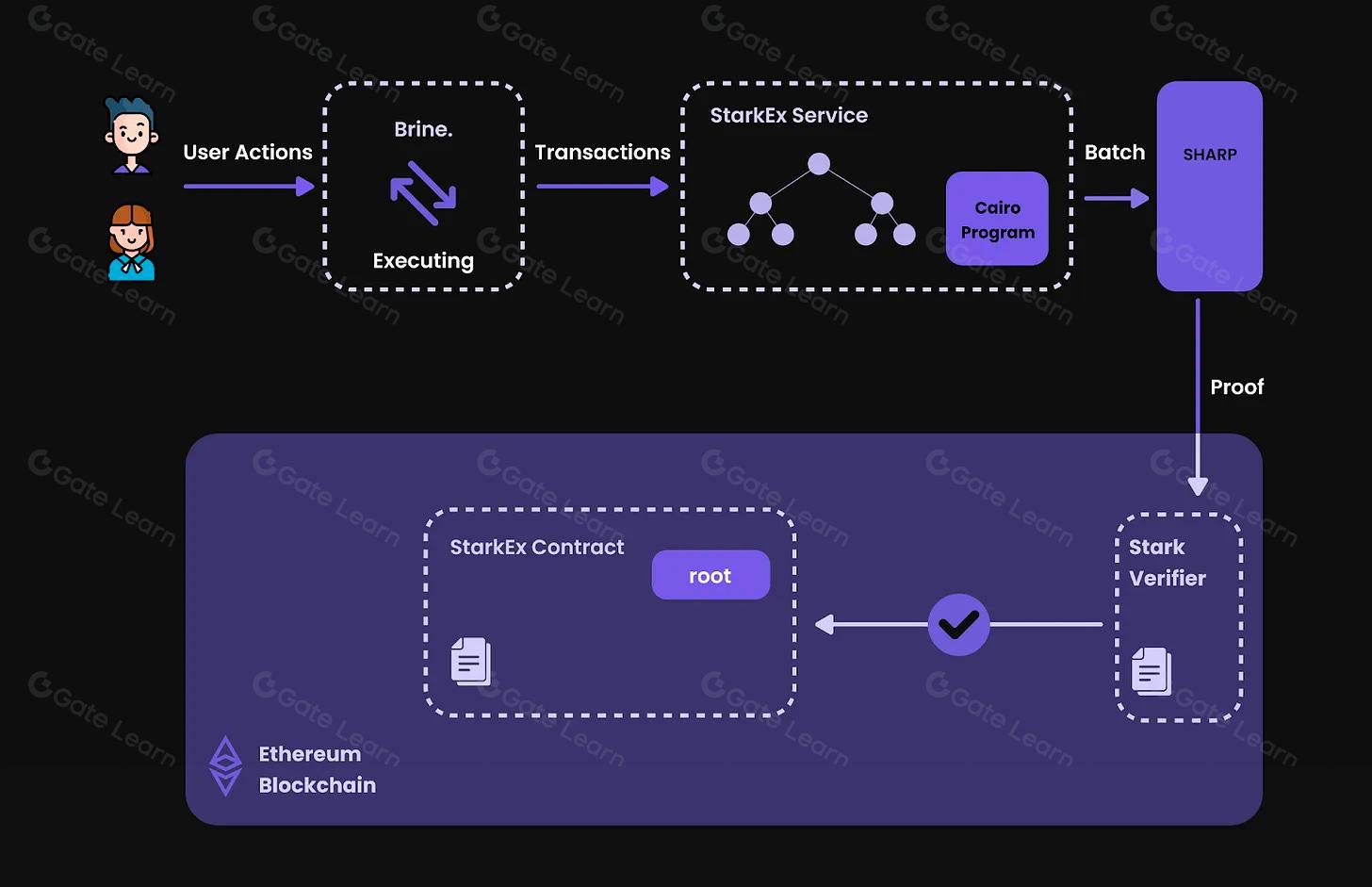 Aztec Network Noir zero-knowledge proofs Ethereum