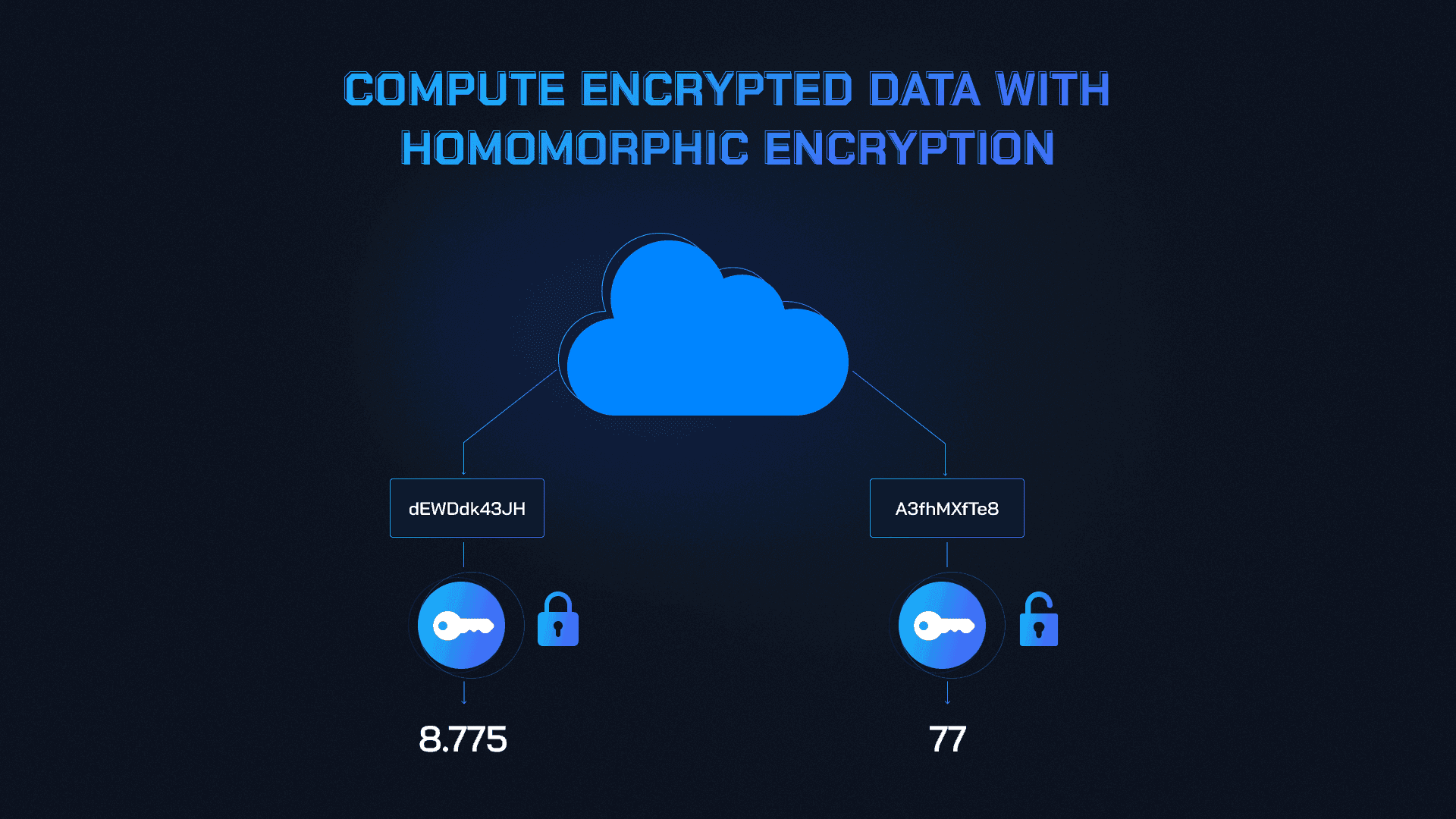 Fully Homomorphic Encryption in blockchain