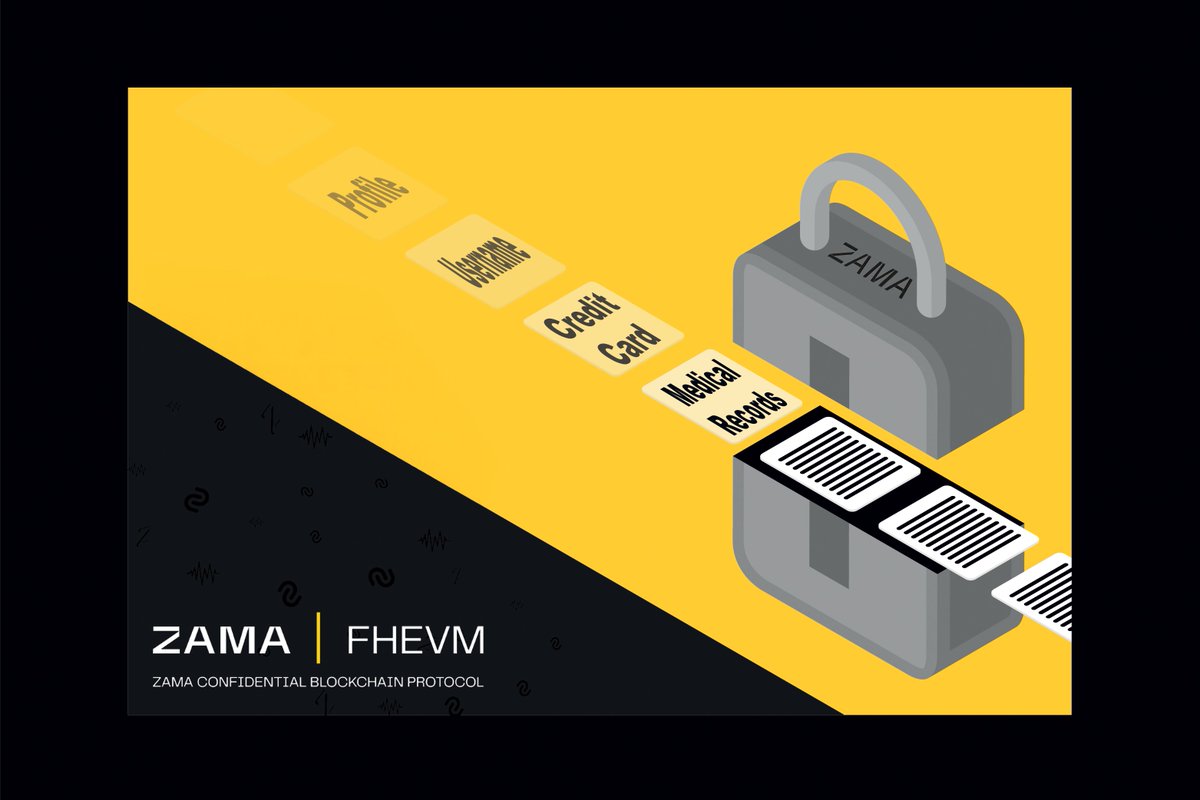 access control encrypted smart contracts fhEVM