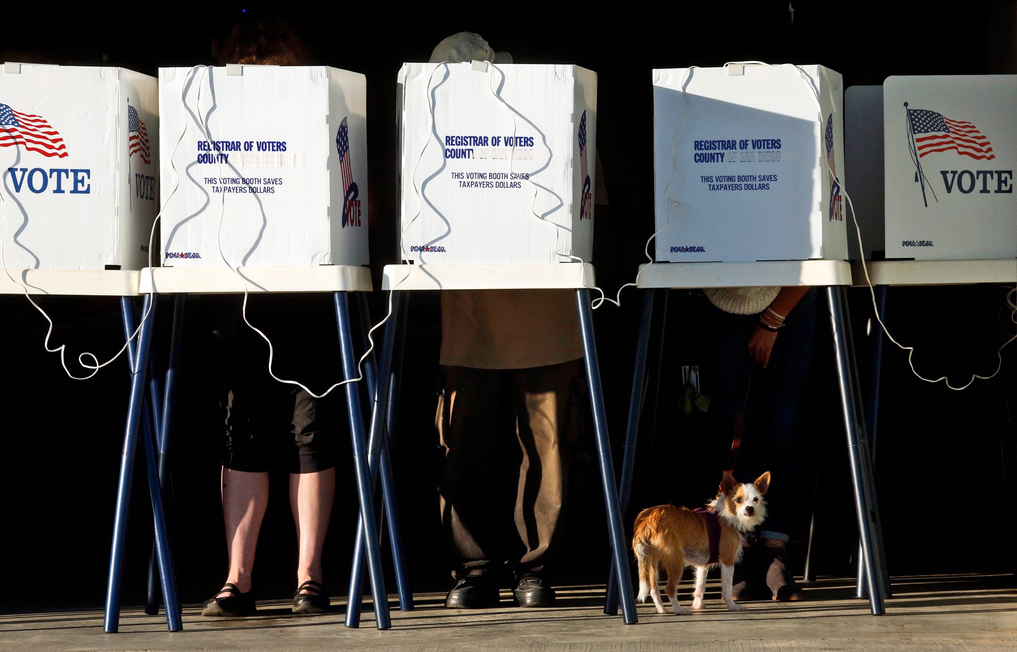 FHE encrypted voting blockchain